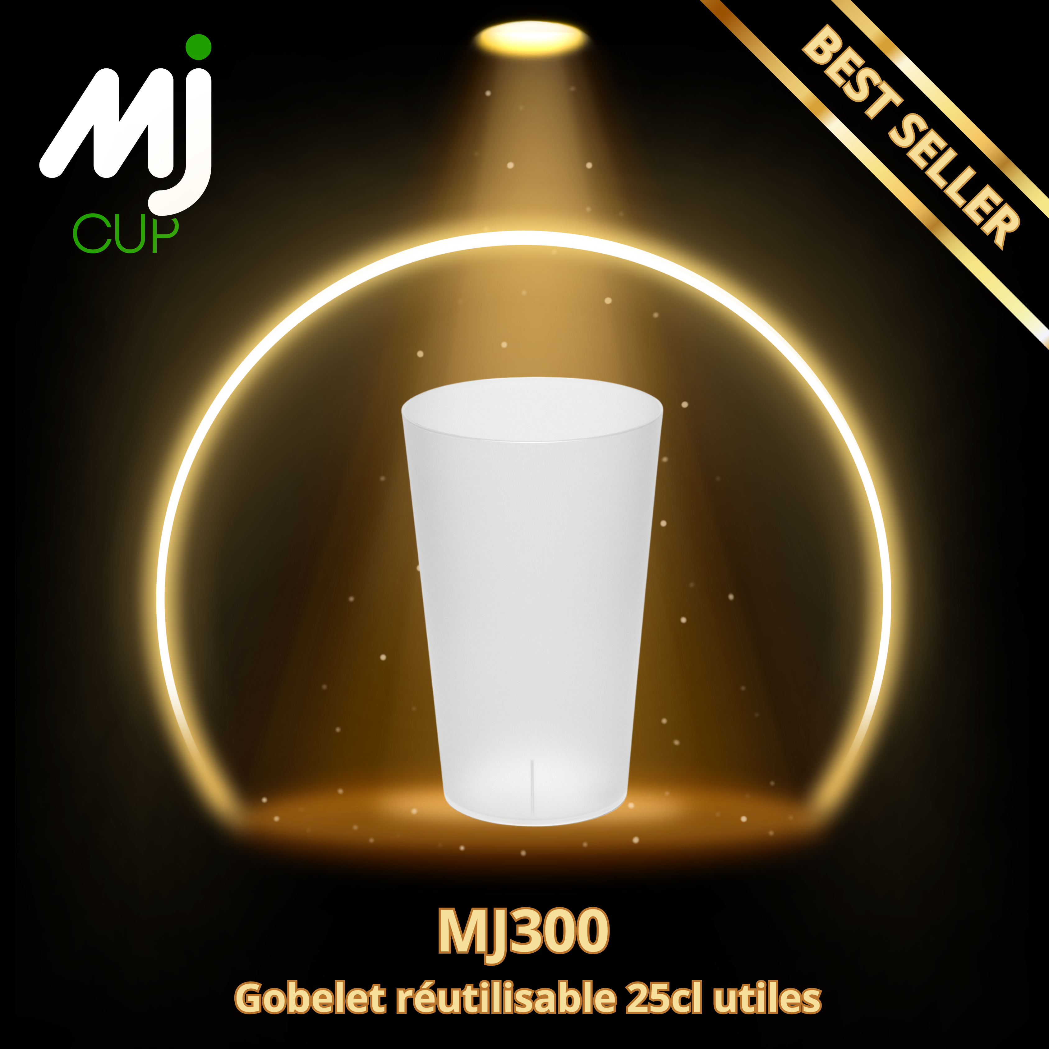 MJ300
