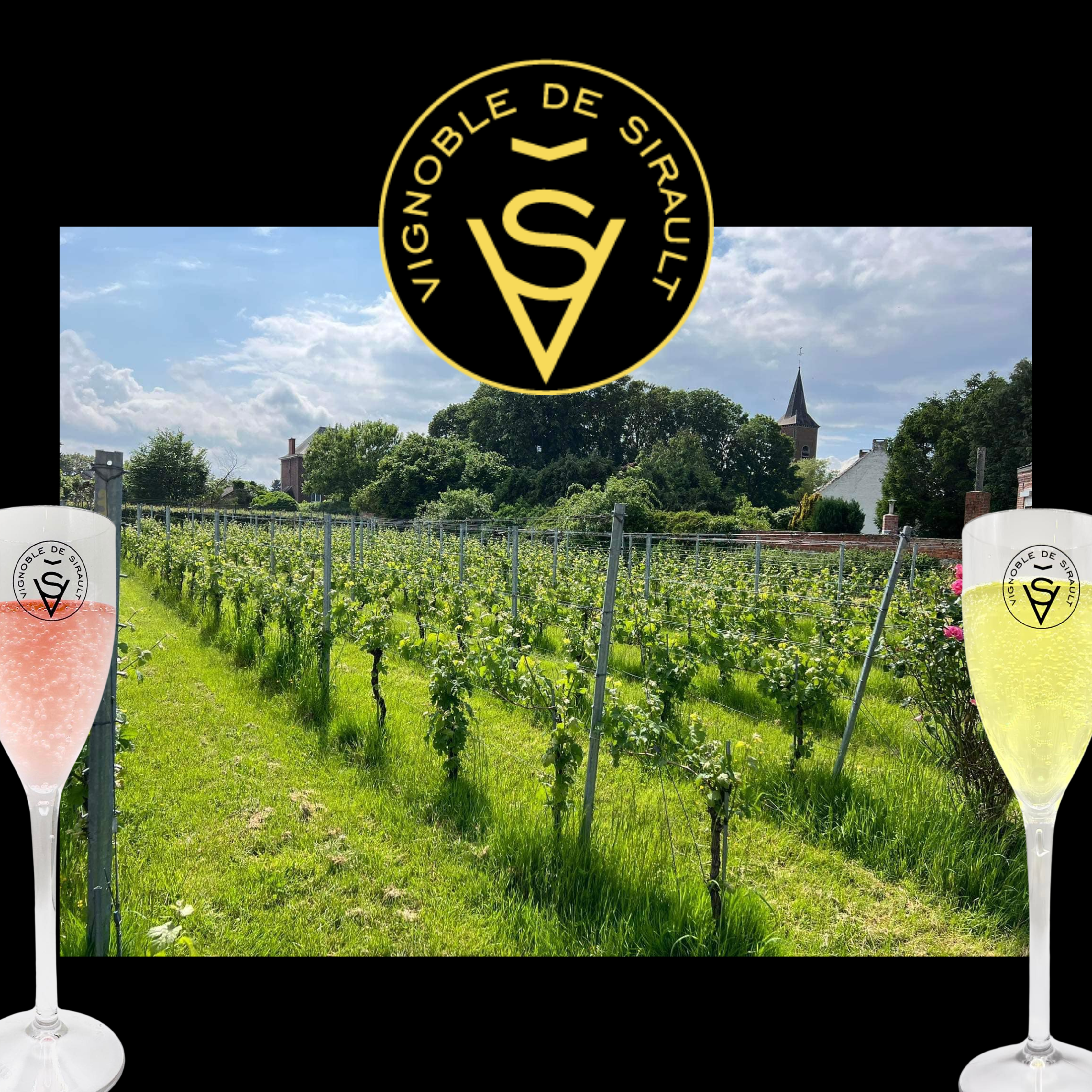 VIGNOBLE DE SIRAULT